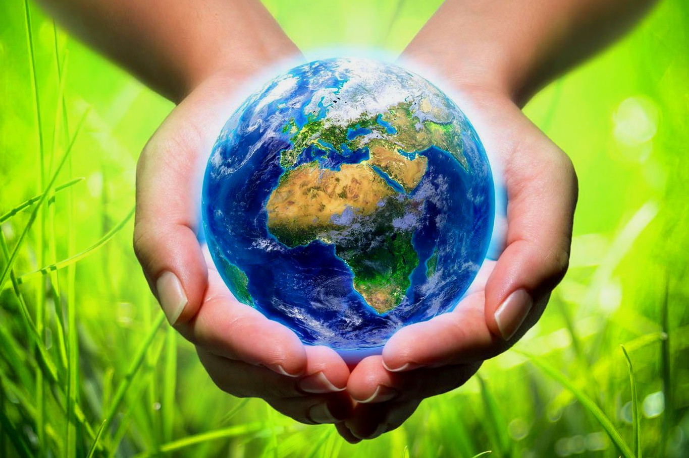 Экологические мероприятия: создаем устойчивое будущее вместе - 2