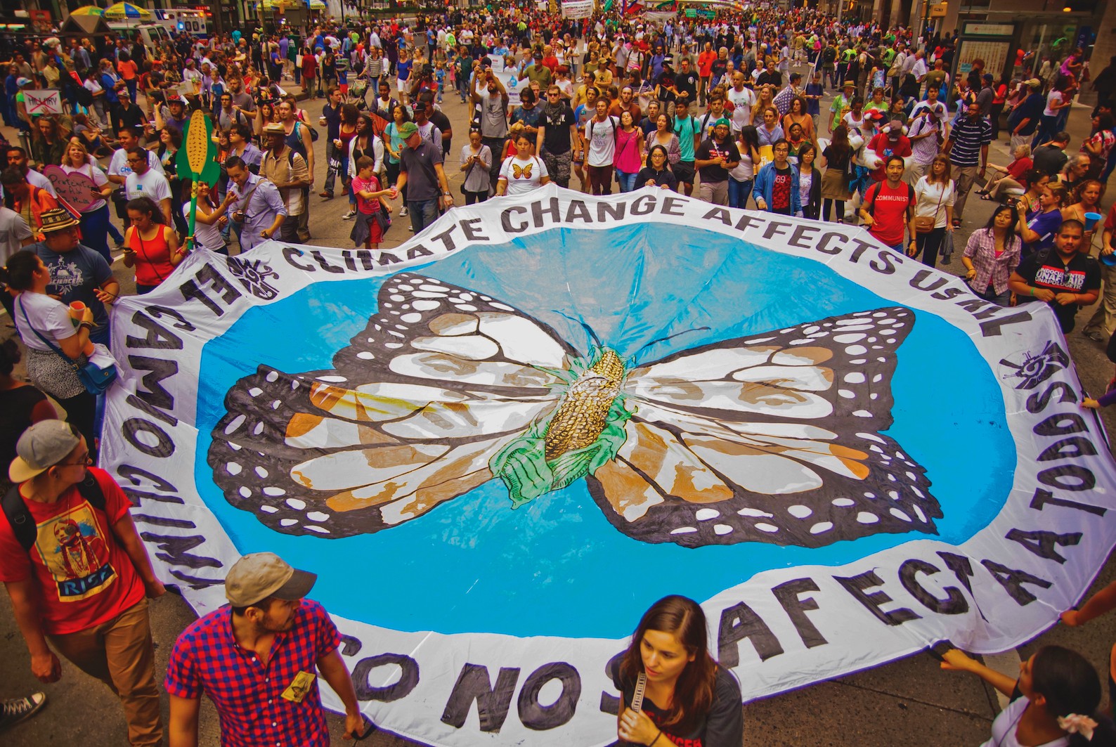 Экологическое просвещение: новые форматы взаимодействия с обществом - 2