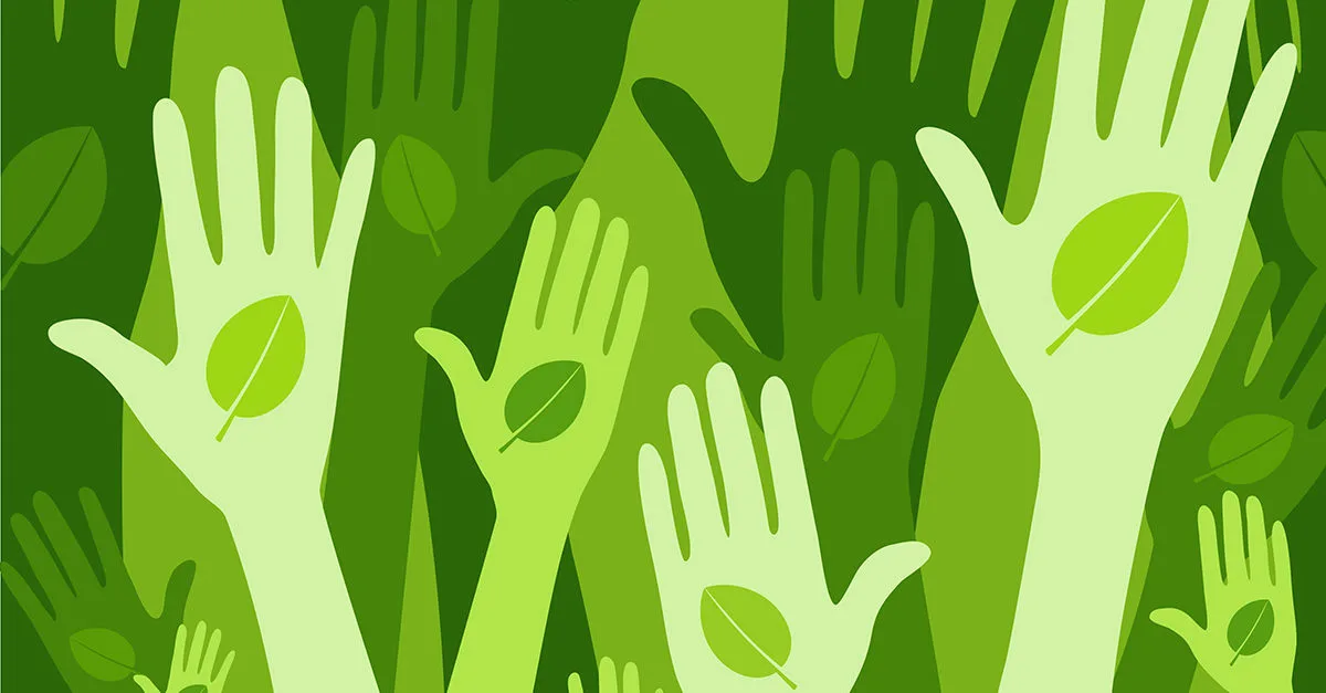 Экологическое волонтерство: как стать частью профессионального центра - 1